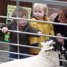 Fishers Mobile Farm visit to Sarah's Ark Nursery, Leyland